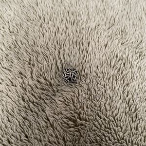 Pandora Sterling Silver Wildflower Walk Openwork Charm